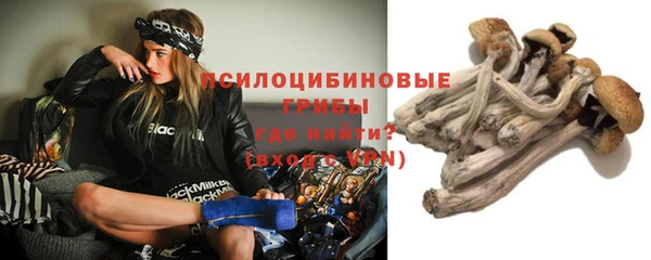 индика Остров