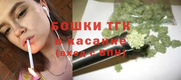 молекула духа Осташков