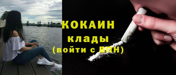 индика Остров