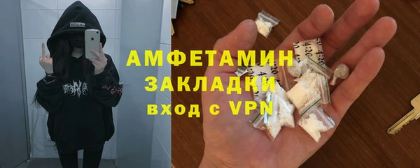 молекула духа Осташков