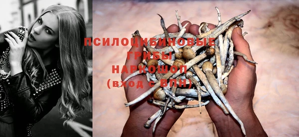 молекула духа Осташков