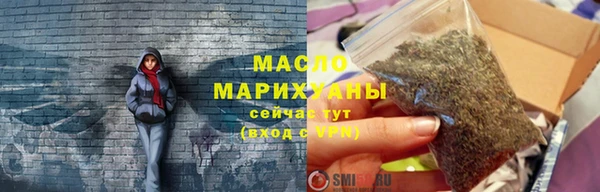 молекула духа Осташков