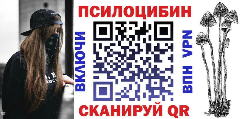 Купить  Кириши  Галлюциногенные грибы Cubensis 