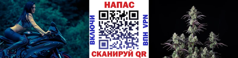 Бошки Шишки Amnesia Кириши